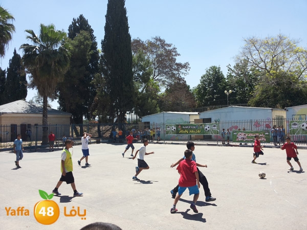 dawry tasamo7 lud (1).jpg